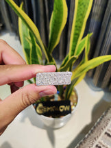 VVS Moissanite Diamond Men's Ring