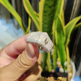 Custom Letter Ring