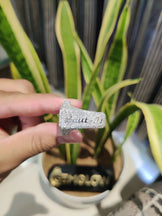 Iced Out Initial Letter Ring