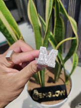 Iced out Custom Moissanite Letter Ring