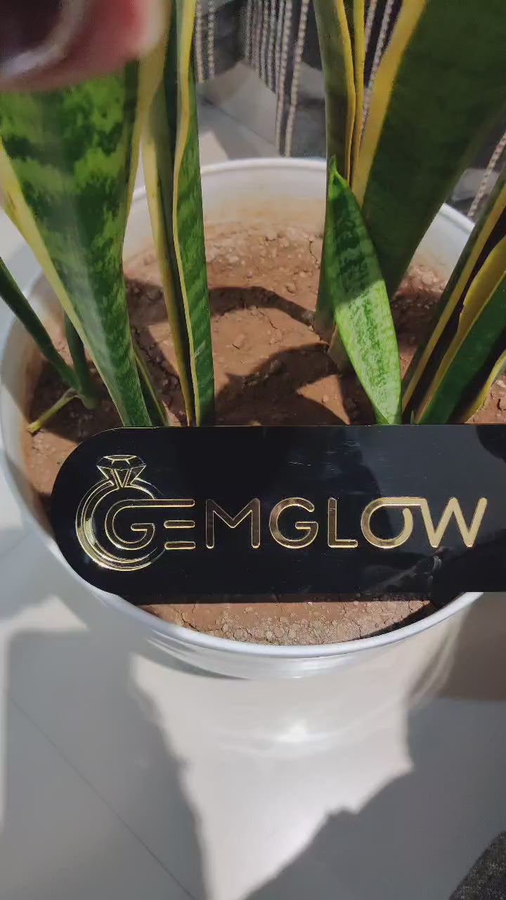 Video of fully iced custom letter ring for men with 360 diamond shine